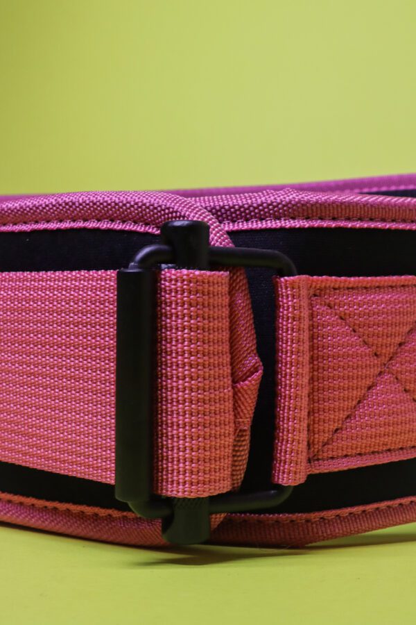 Weightlifting Gym Belt Pink - Image 6
