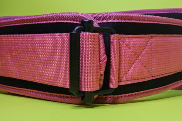 Weightlifting Gym Belt Pink - Image 5