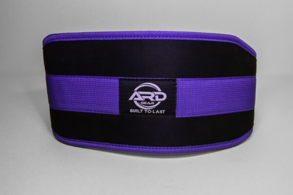 Weightlifting Gym Belt Blue - Image 9