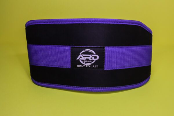 Weightlifting Gym Belt Blue - Image 8