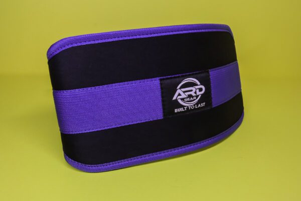 Weightlifting Gym Belt Blue - Image 7
