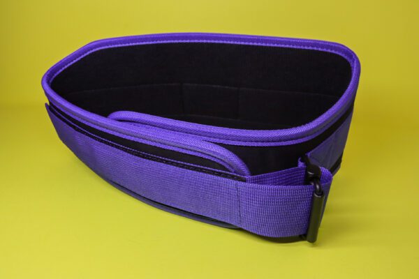 Weightlifting Gym Belt Blue - Image 4